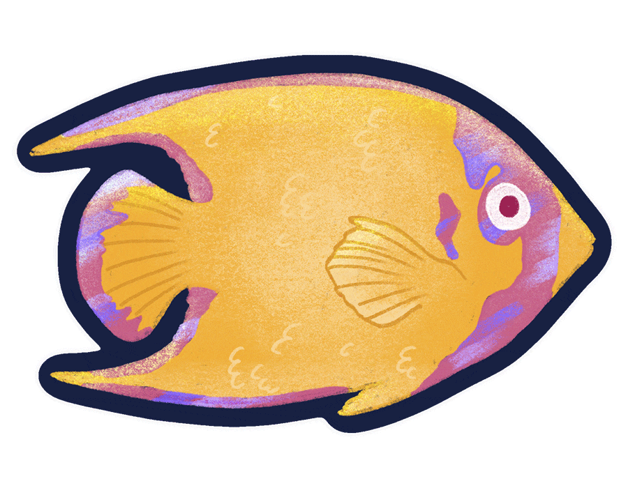 Poisson suiveur